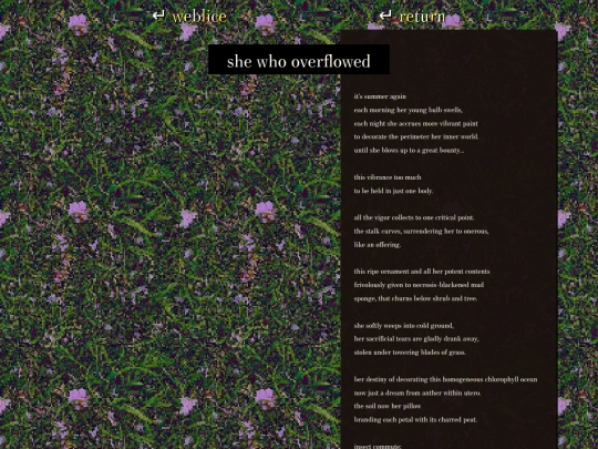 writings/overflowed screenshot