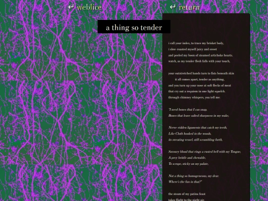 writings/tender screenshot