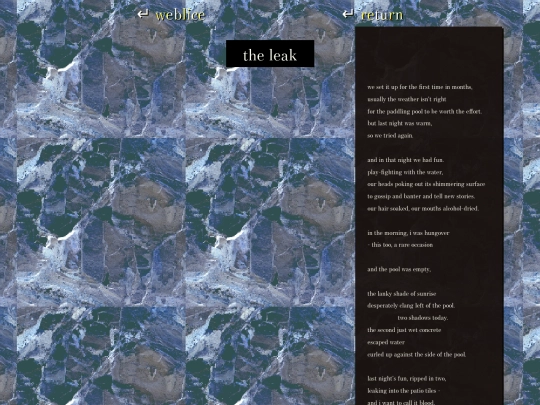 writings/theleak screenshot