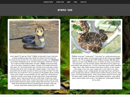 snake4 screenshot