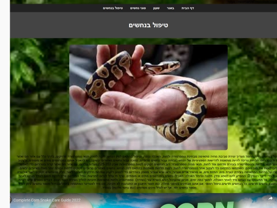 snake5 screenshot