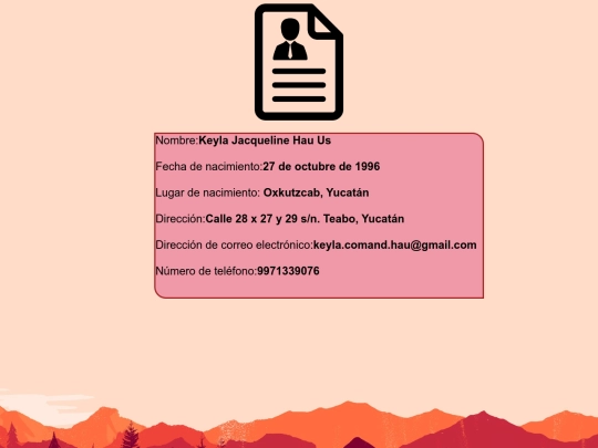 CV/DatosParticulares screenshot