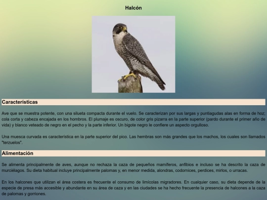 Tarea/halcon screenshot
