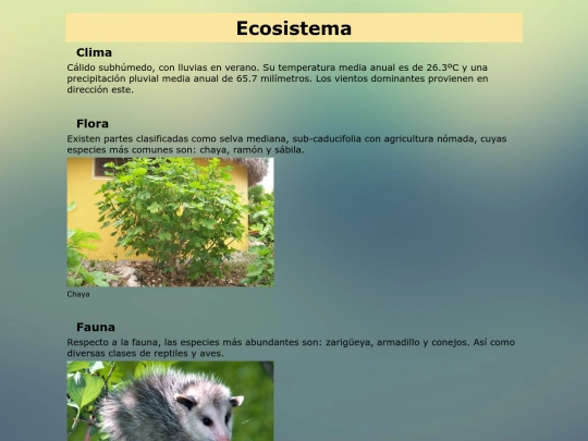 Teabo/ecosistema screenshot