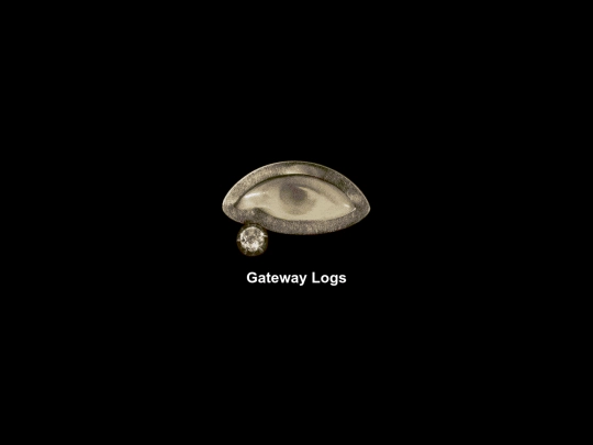 gatewaylog/main screenshot