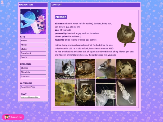 chinchilla screenshot