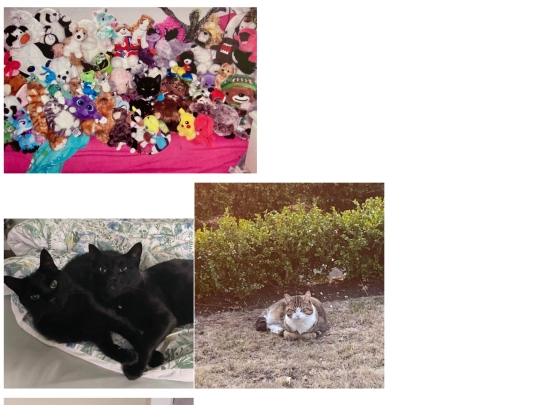 collection/pets screenshot