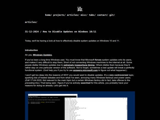 articles/2024-disable-windows-updates screenshot