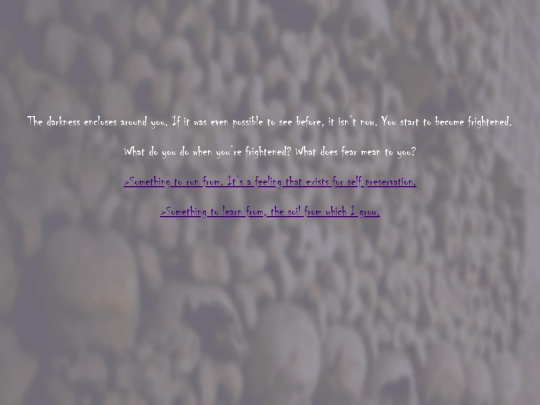 dungeon/dungeon2 screenshot