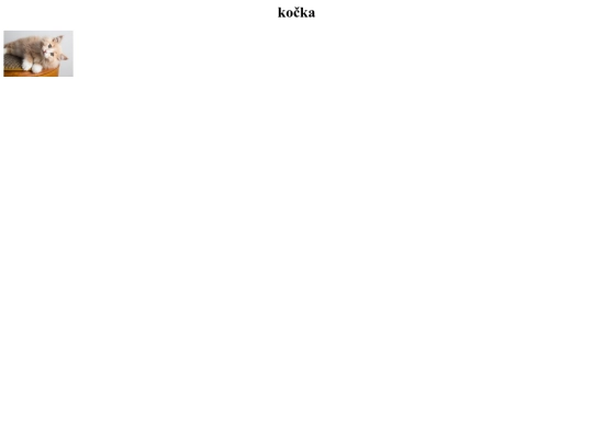 11 screenshot