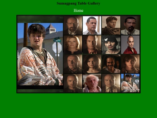 webdev/breakingbad/badger screenshot
