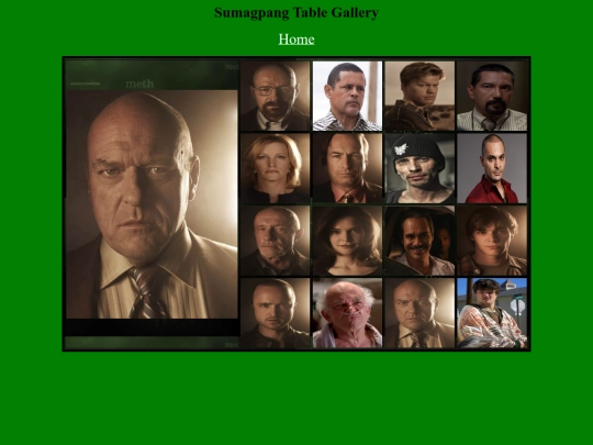 webdev/breakingbad/hank screenshot