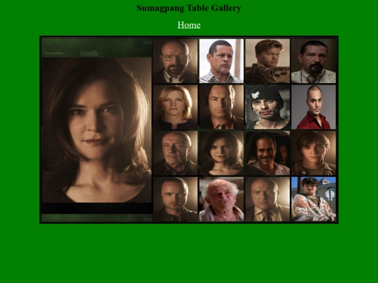 webdev/breakingbad/marie screenshot