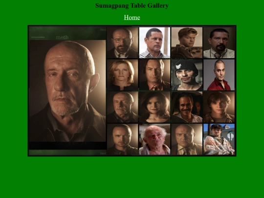 webdev/breakingbad/mike screenshot