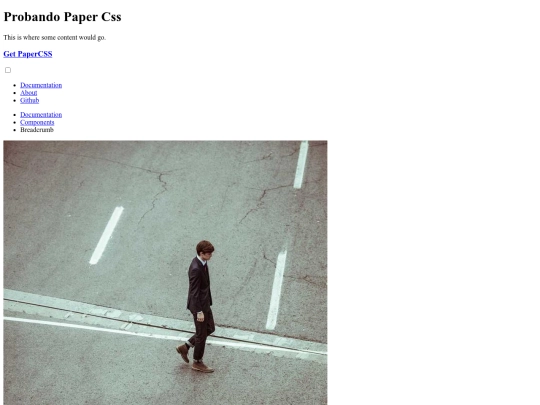 tp 1b/paper css screenshot