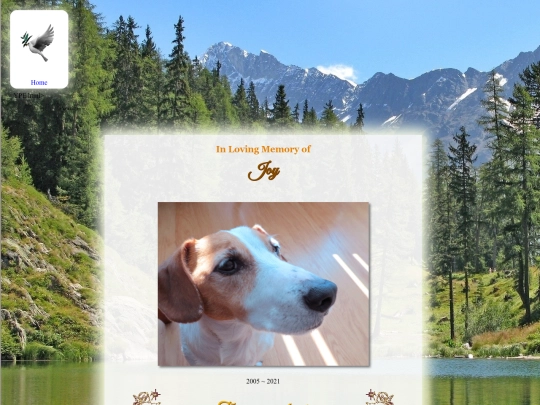 joymemorial/joy screenshot