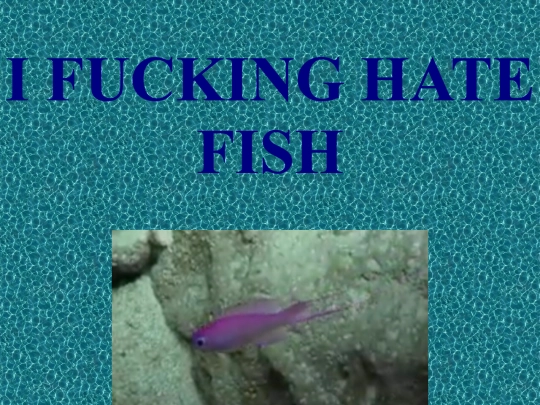 ifuckinghatefish screenshot