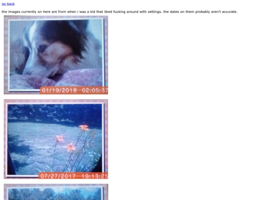 dsi screenshot