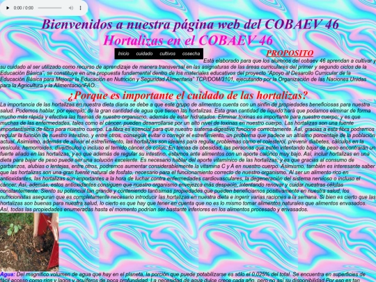hortalizasmultimedia screenshot