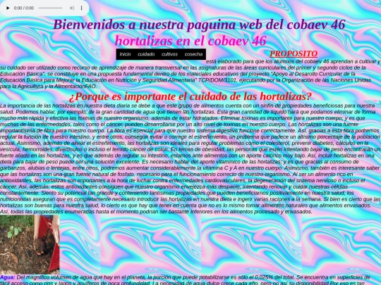 hortalizassonido y video screenshot