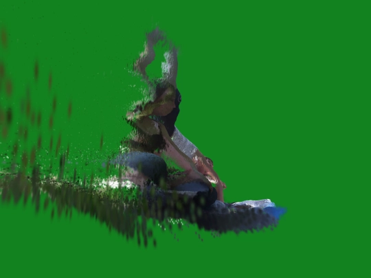 priroda screenshot