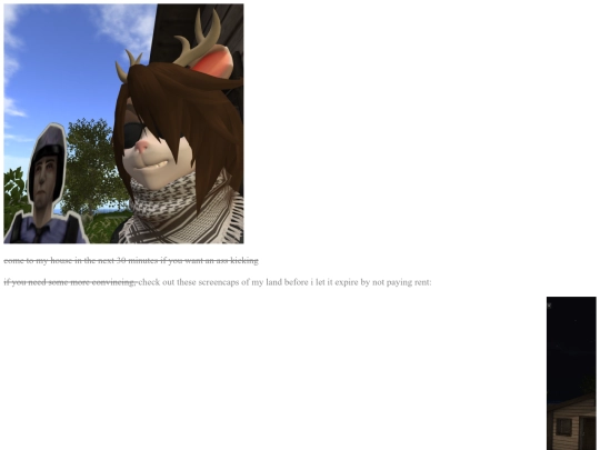 games/secondlife screenshot