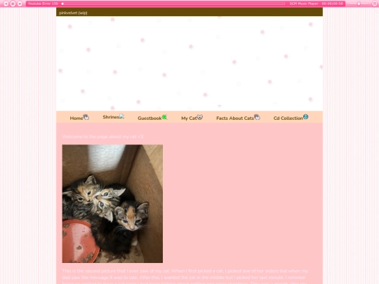 mycat screenshot