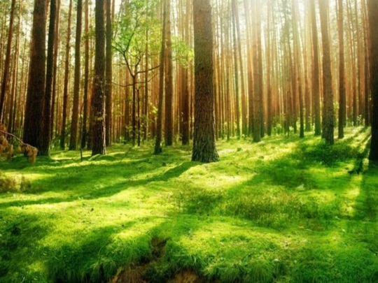 game4-link screenshot
