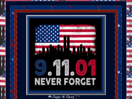 911/pg02 screenshot
