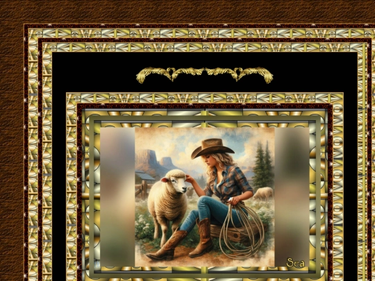 CountryWestern/pg04 screenshot