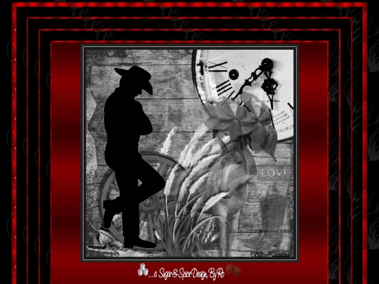 CountryWestern/pg17 screenshot