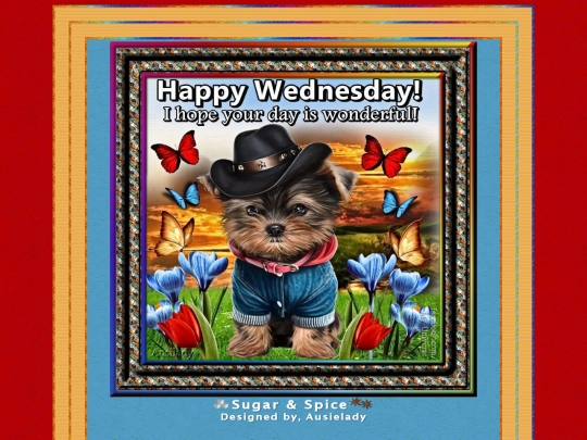 DaysOfWeek/Wednesday/pg04 screenshot