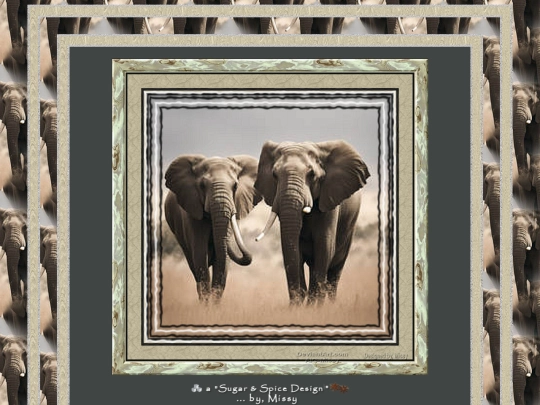 Elephants/pg04 screenshot