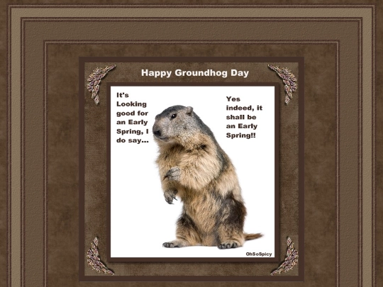 GroundhogDay/pg_02 screenshot