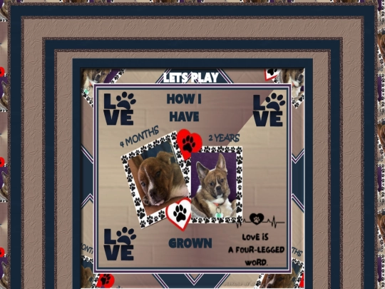 Hosts/FROGGIEOS/pg18 screenshot