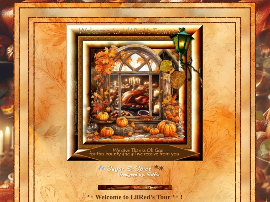 Hosts/LilRed2004/pg11 screenshot