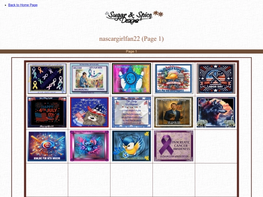 Hosts/nascargirlfan22/nascargirlfan22 screenshot