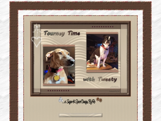 Hosts/tweetybird190421/pg02 screenshot