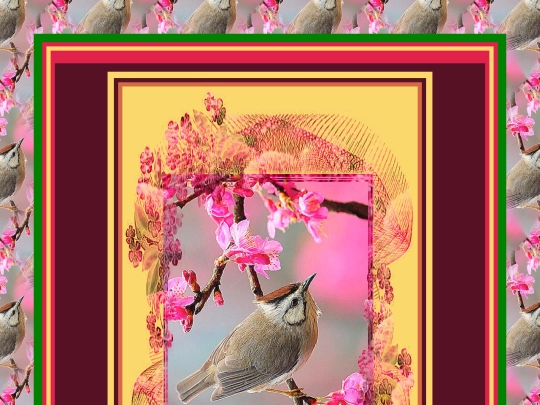 Spring/pg20 screenshot
