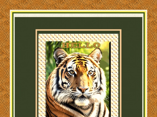 Tigers/pg03 screenshot