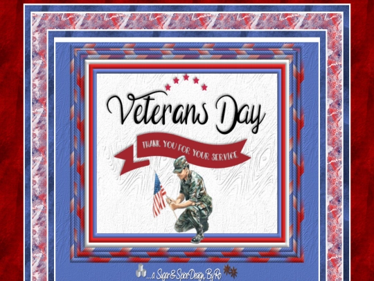 VeteransDay/pg03 screenshot