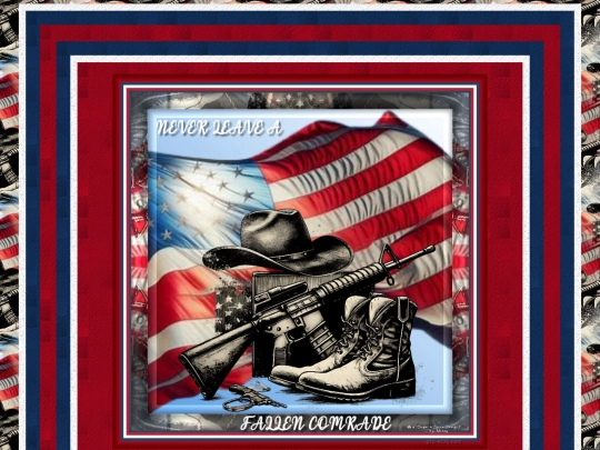 VeteransDay/pg05 screenshot