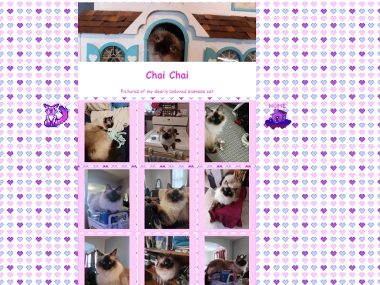 chaichai screenshot