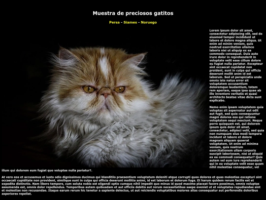 EXAMEN screenshot