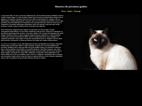 EXAMEN/index3 screenshot