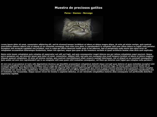 EXAMEN/index4 screenshot