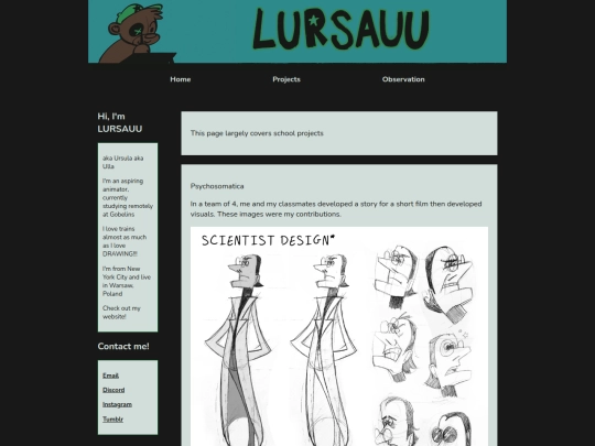 portfolio/projects screenshot