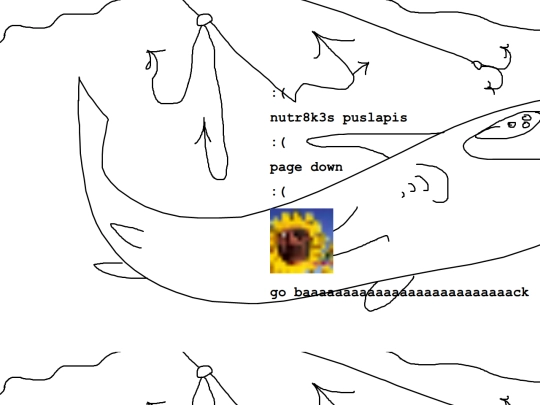 final screenshot