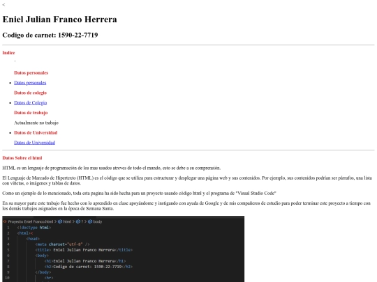 Proyecto Eniel Franco screenshot