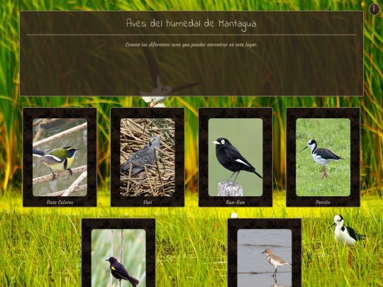 aves screenshot
